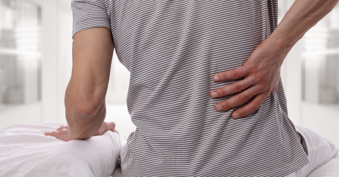 How To Reduce Your Back Pain image